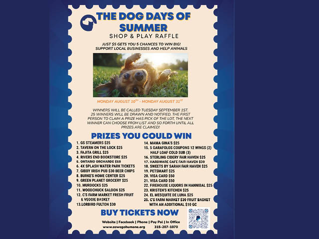 Flyer for Dog Days of Summer Raffle with a list of prizes you could win and a QR code for buying raffle tickets in the bottom right