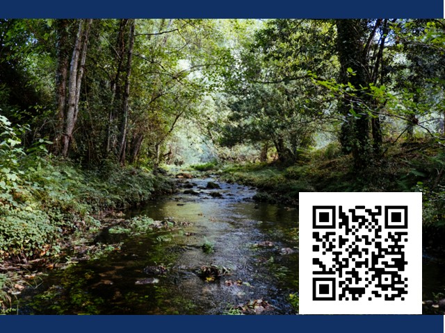 Stream Safari to be held at Amboy 4-H Environmental Education Center   