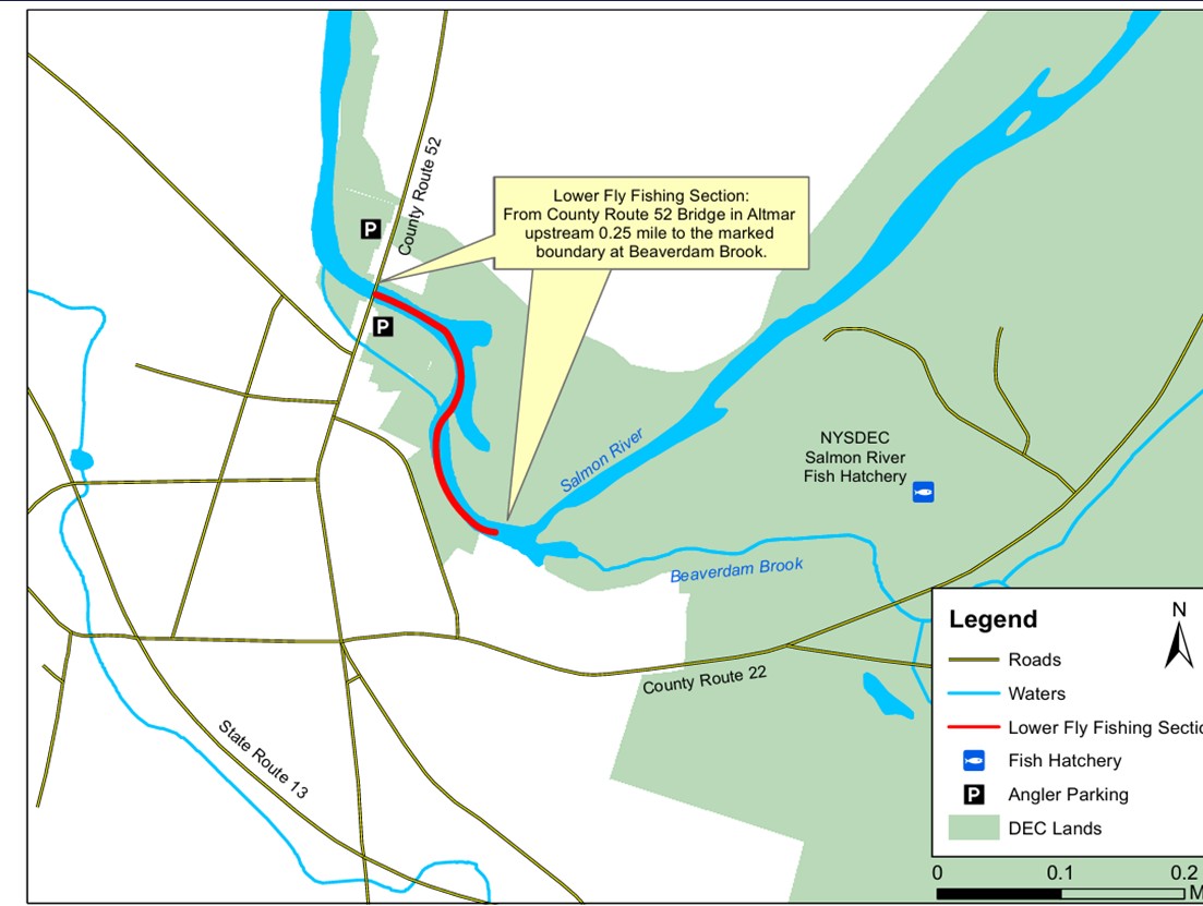 NYSDEC Announces Actions to Protect Fish Populations in the Salmon River