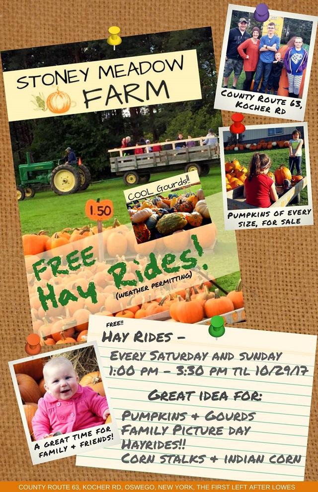 stoney meadow farm