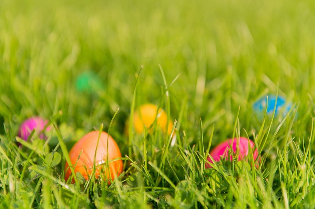 egg hunt
