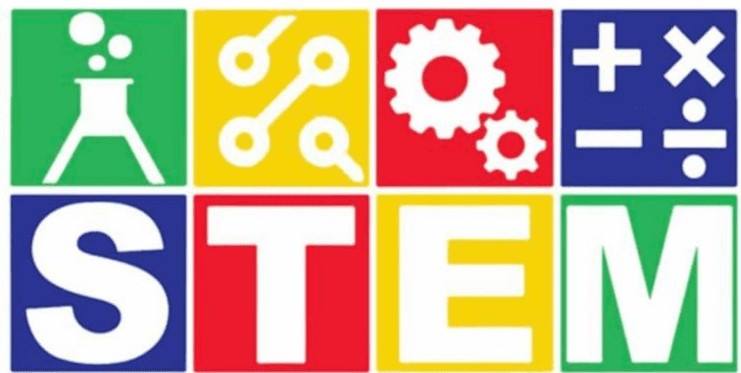 holiday stem