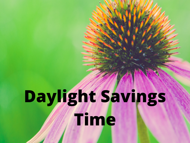 Daylight Savings Time