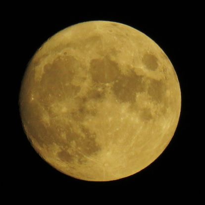 moonlight