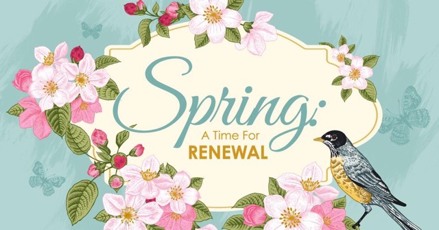 springspadauy