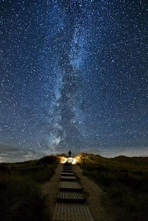 newmoon