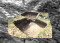 2026 Archaeological Investigation w/ Scouts @ Fort Brewerton