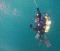 On Atlantic Ocean Explorations with Will Limpert (Oswego)