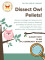 Dissect Owl Pellets @ Fulton Public Library