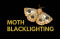 Moth Blacklighting (Lysander; Registration Required)