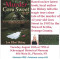 Presentation on the Murder of Cora Sweet (Schroeppel)