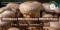 Outdoor Mushroom Workshop (Central Square; Registration Required)
