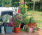 Richland Farmers Market