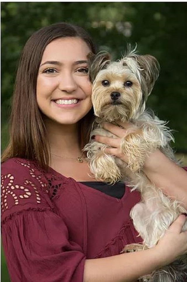 Ivy Images Pet Portrait
