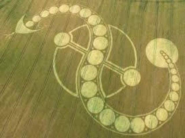 crop circles presentation