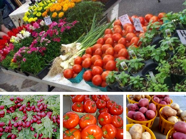 farmers market