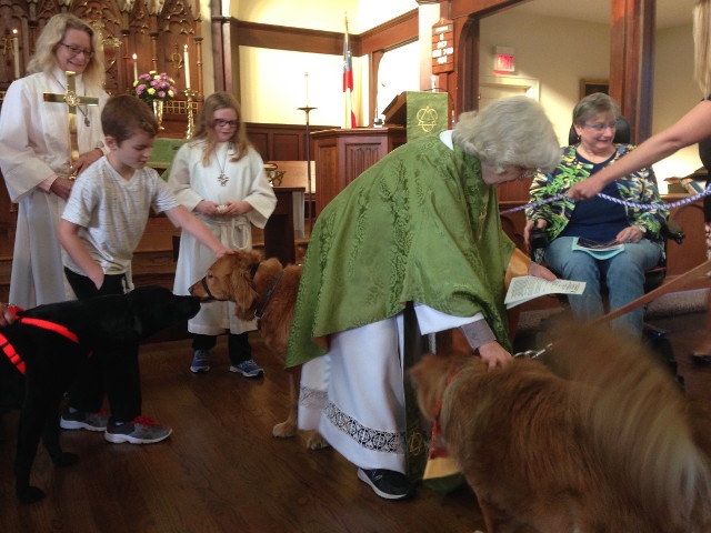 St. Francis Day Blessings of the Animals Held October 15th