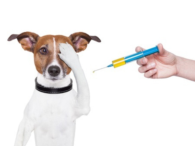 Hastings Rabies Clinic Re-scheduled for Aug. 26