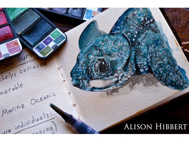 Photo Contest Highlights Proposed Lake Ontario National Marine Sanctuary