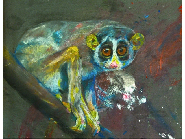 Oswego State Downtown Exhibition to Focus on Zoo Animals as Refugees