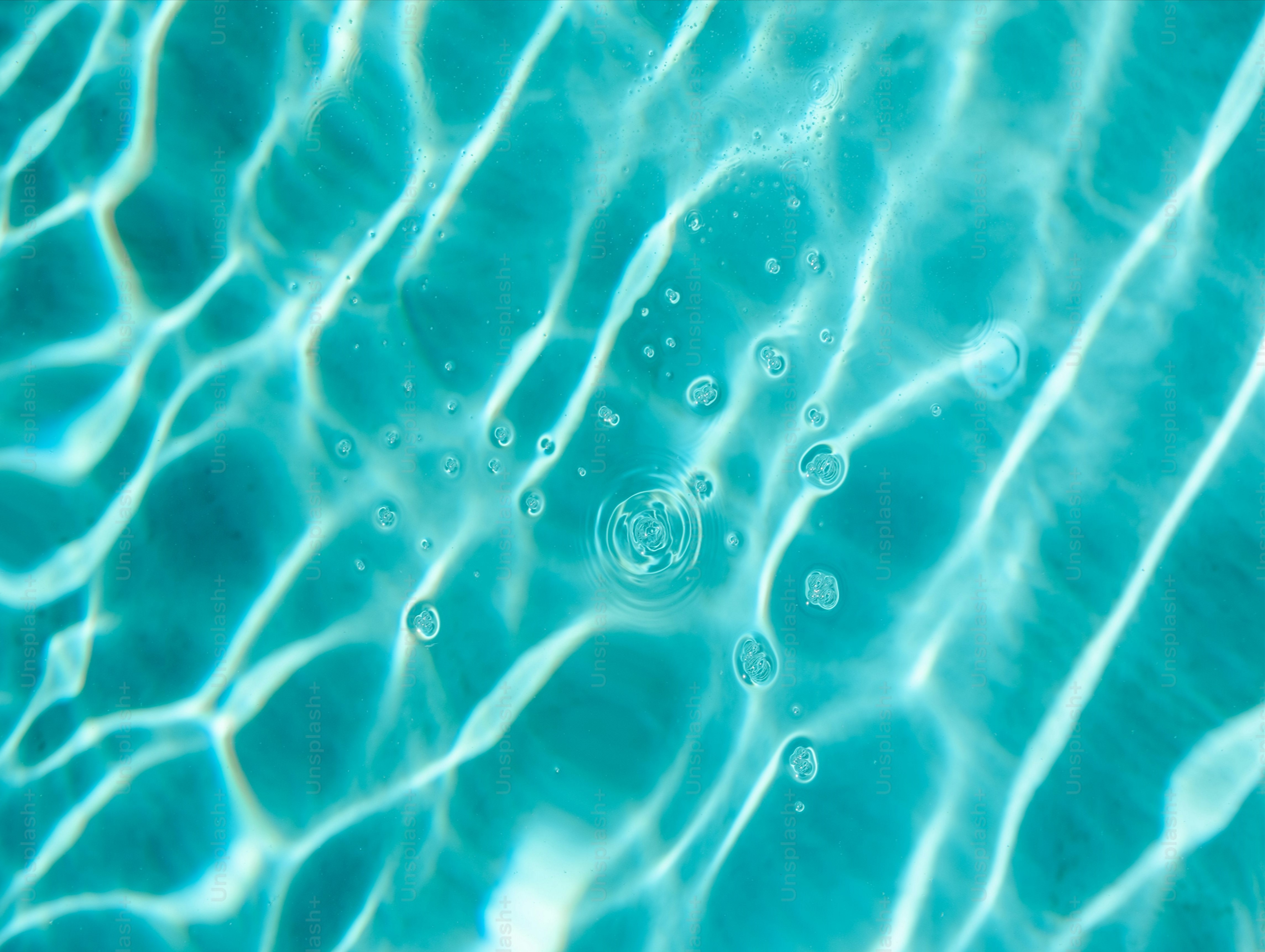 Sign Up for Thunder Island Youth Day Now!