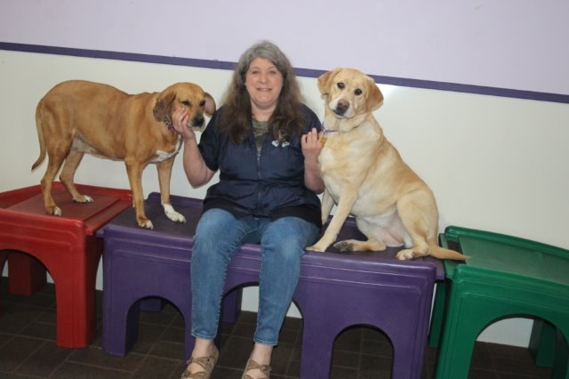 Oswego locals come together to publish `The Ball`