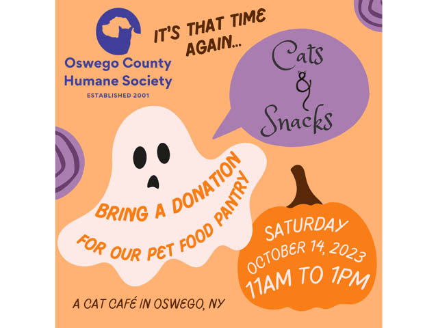 Oswego Humane to Host Another Cats &amp; Snacks