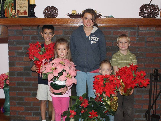 Children's Board of Oswego Plans 29th Annual Poinsettia Sale
