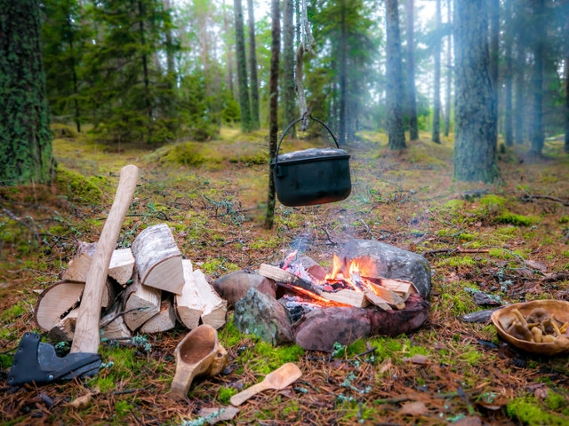 State Parks Encourage Campers to Use Local Firewood