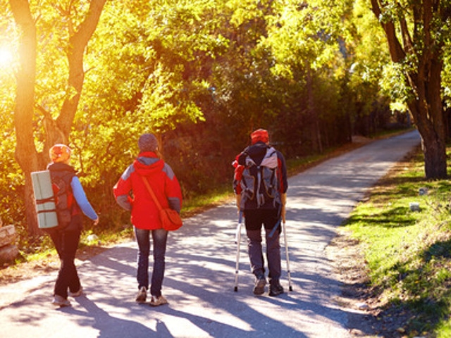 Fall 2023 Programs at Amboy 4-H Environmental Education Center