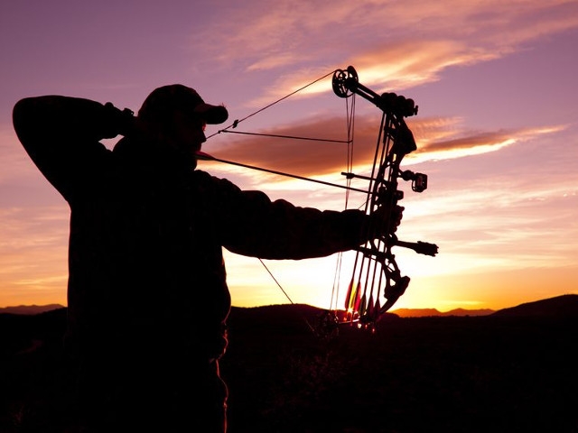 DEC Announces Late-Season Deer Hunting Opportunities