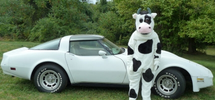 Oswego Lions Club eighth annual `Cow Chip Bingo,` Classic Car Show, Sept. 14