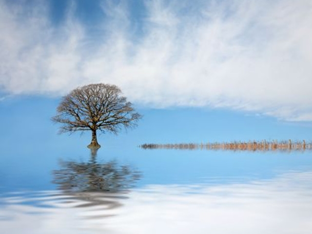 NY Sea Grant, Cornell University to Survey High Water Impact