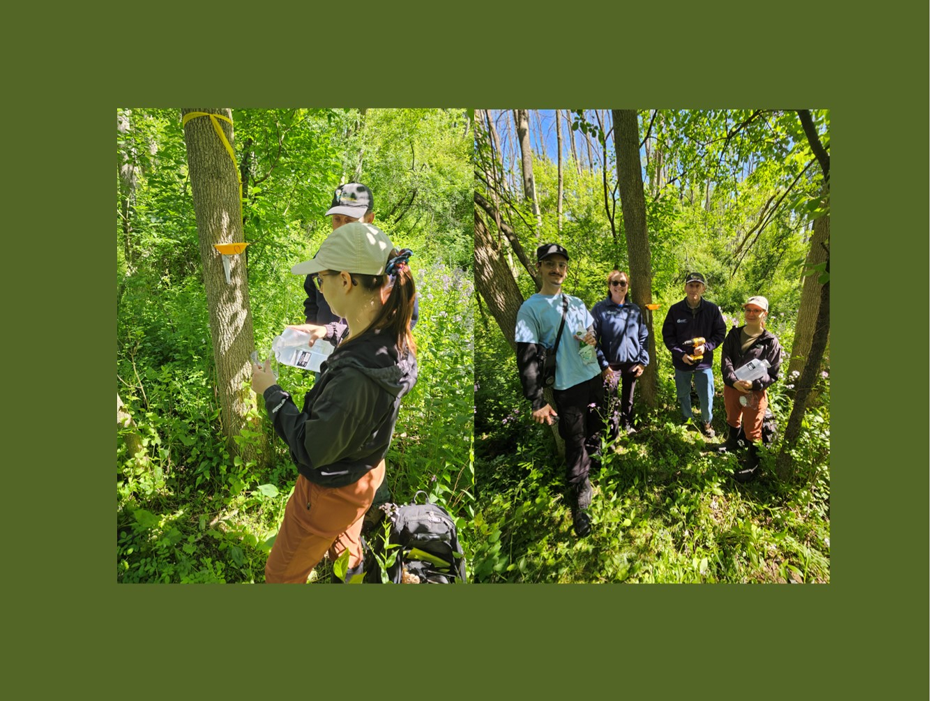 Volunteers Sought to Assist with Environmental Science Project at Rice Creek Field Station