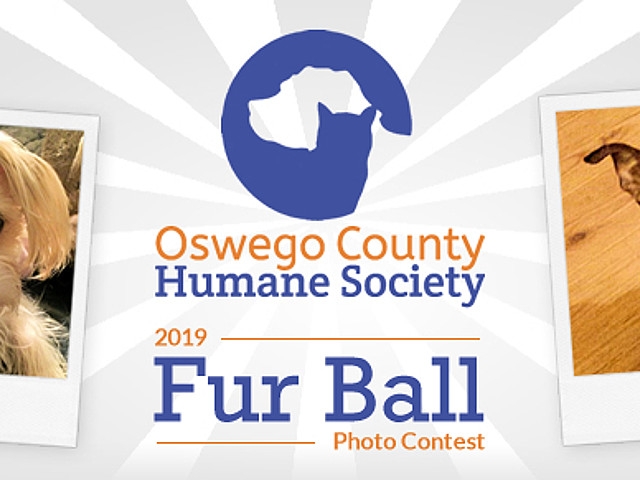 2019 Fur Ball Photo Contest Announced