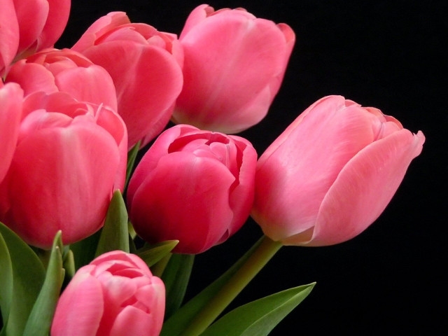 Thomas Charles Salmonsen – March 30, 2019