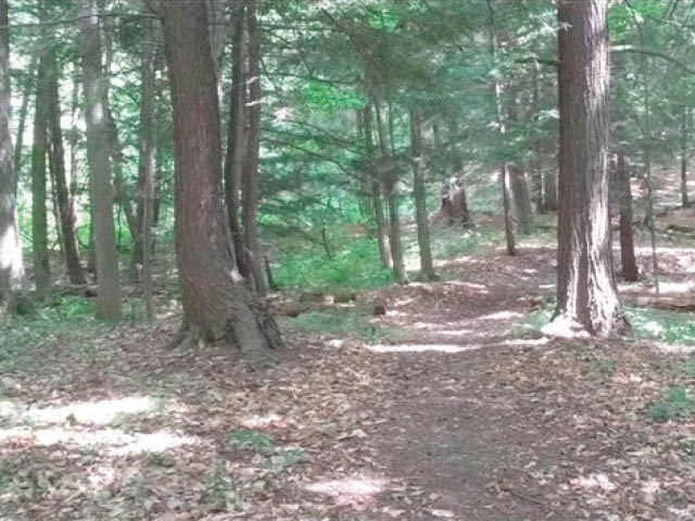 Join Independence Trail Clean-Up May 16