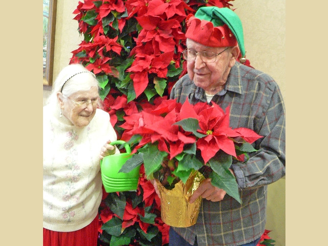Holiday Season In Full Bloom at St. Francis Commons – Literally