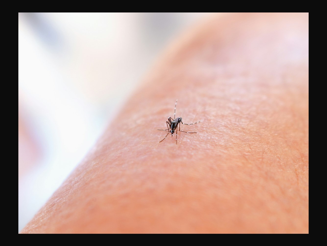 First Report of West Nile Virus in Oswego County