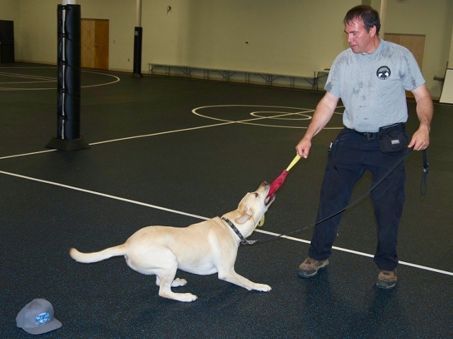 Benedettos Demonstrate Canine Search and Rescue at CYO Summer Rec Program