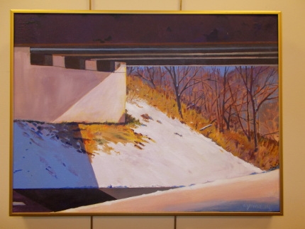 Michael Lynne Art Show at Oswego Public Library