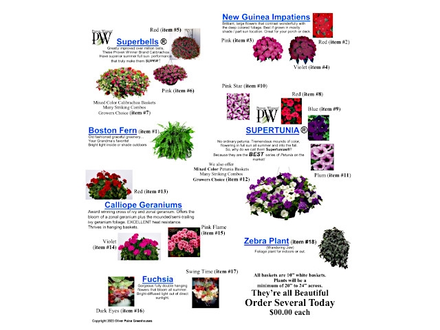 Children’s Board of Oswego Has Hanging Flowers Baskets for Mother’s Day