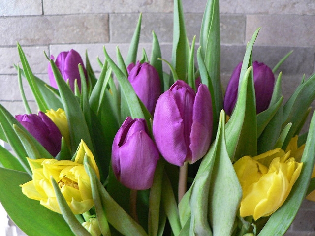 Memoirs of a Small Town Mayor: Where Have All The Flowers Gone?