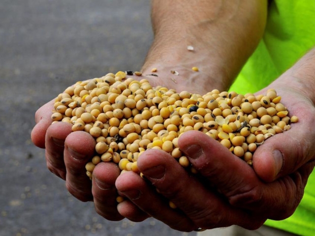 Port of Oswego Identified as Key Generator for Entire Central New York Region