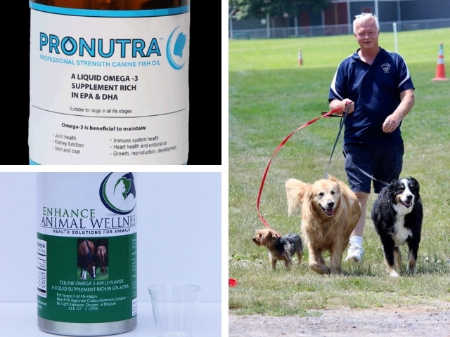 Veterinarians In The U.S. Look To Mexico, NY For Supplement Needs.