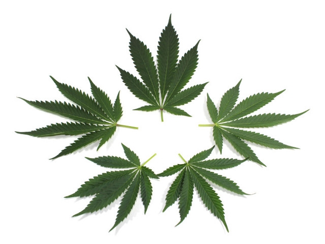 New York State Cannabis Control Board Announces First Public Meeting