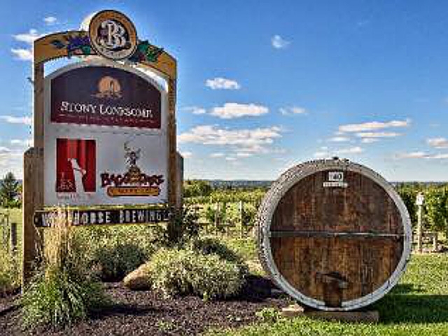 Oswego Lions Club 18th Annual Wine and Beer Tasting with Silent Auction