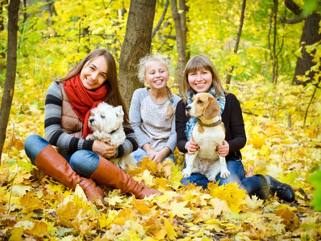 'Tales of the Trees' at Amboy 4-H Environmental Ed Center Oct 29
