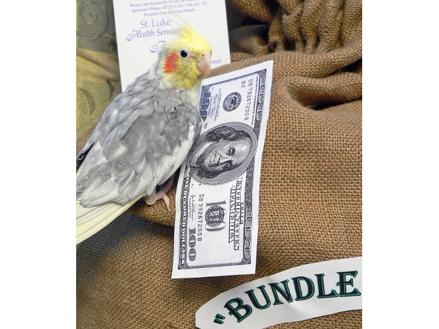 St. Luke’s “Bundle Of Bucks” Charity Raffle Early Bird Drawing Set for Valentine’s Day