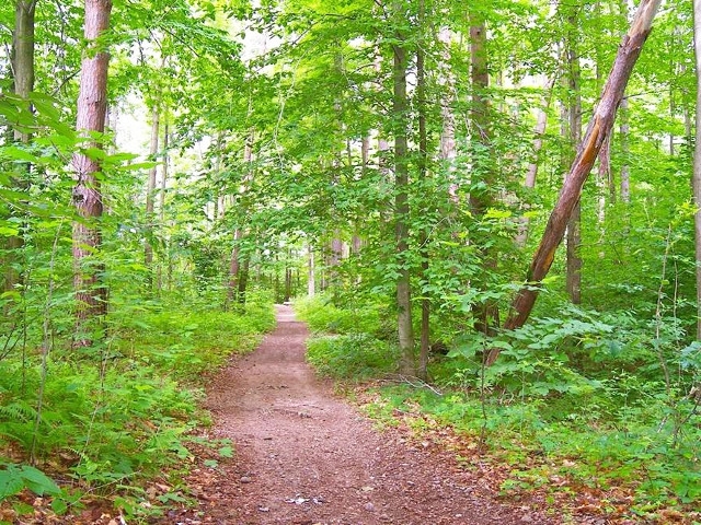 Groups Plan Hikes on National Trails Day June 1